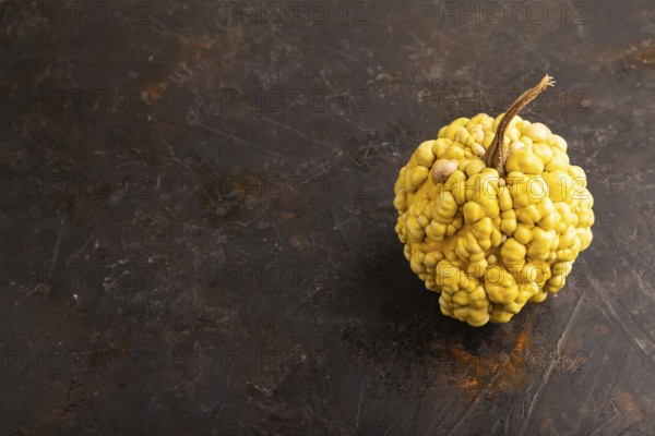 Decorative orange Pumpkin with tumors on black concrete background, side view, copy space,