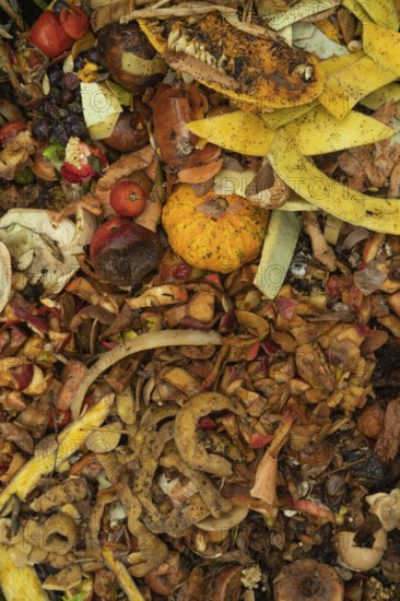 Compost pile made of organic food, leaves, vegetable and fruit Waste mix, Zero waste and Eco