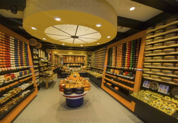 A shop with a variety of cheeses arranged on shelves and tables, illuminated in warm light, Delft,