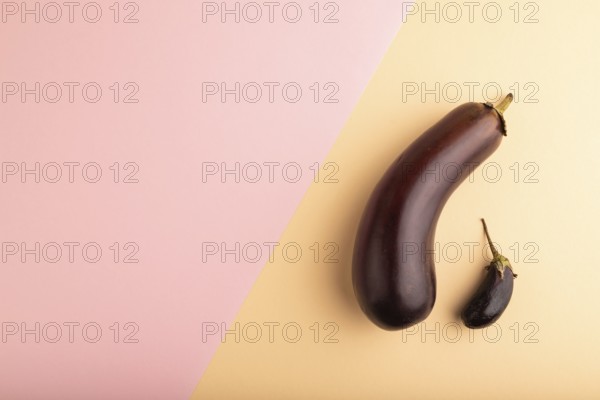 Two Eggplants big and small on pink and orange pastel paper background, top view, flat lay, copy