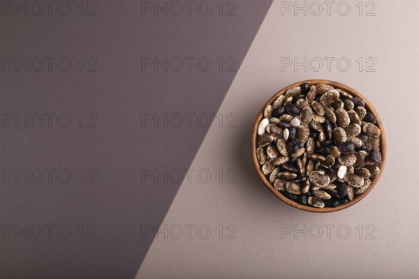 Wooden bowl with Kidney beans on beige and gray pastel paper background, top view, flat lay, copy
