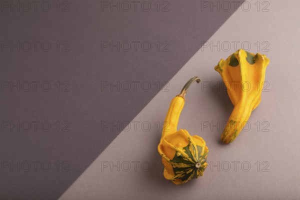 Two decorative orange Pumpkins on beige and gray pastel paper background, side view, copy space,