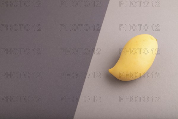 Orange mango on black and gray paper pastel background. Side view, copy space. healthy food,