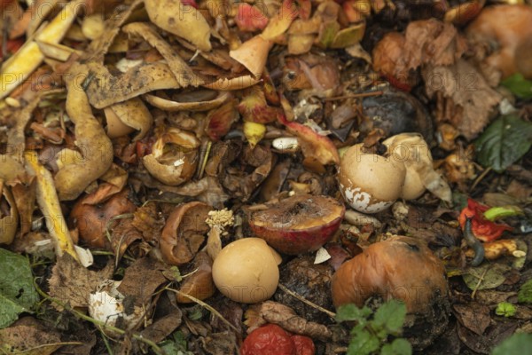 Compost pile made of organic food, leaves, vegetable and fruit Waste mix, Zero waste and Eco