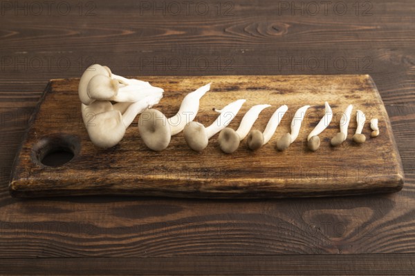 Raw Oyster mushroom, Pleurotus ostreatus on cutting board on brown wooden background. Side view,