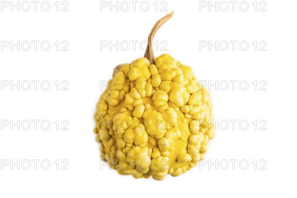 Decorative orange Pumpkin with tumors isolated on white background, top view, flat lay, close up,