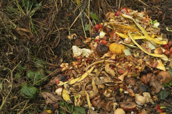 Compost pile made of organic food, leaves, vegetable and fruit Waste mix, Zero waste and Eco