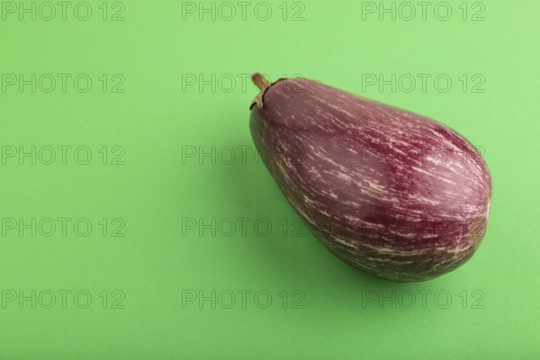 Purple eggplant with white stripes on green pastel background. Side view, copy space. Tropical,