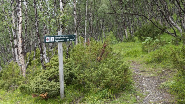 Signpost with the inscription Pilgrimsleden Ryphusan, Kongevegen or Kingsroad, Pilgrimsleden