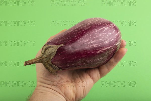 Hand holding Purple eggplant with white stripes on green pastel background. Top view, flat lay,