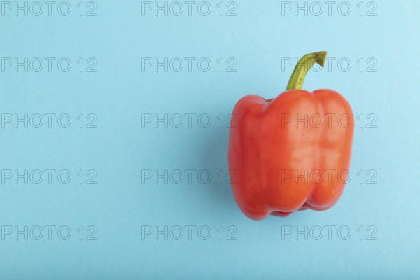 Red pepper on blue pastel background. Top view, flat lay, copy space. healthy food, vegetable,