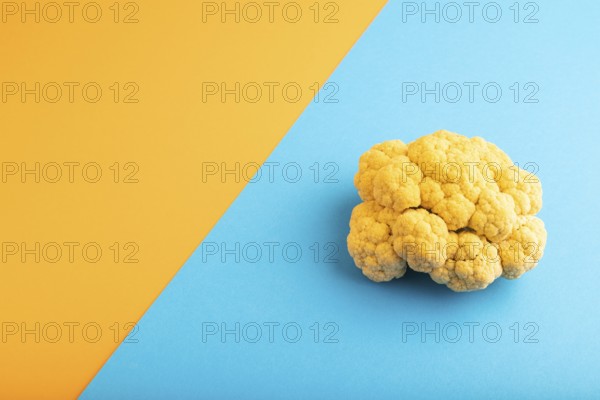 Yellow Cauliflower on blue and orange pastel paper background. Side view, copy space. healthy food,