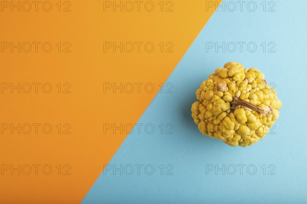 Decorative orange Pumpkin with tumors on blue and orange pastel paper background, top view, flat
