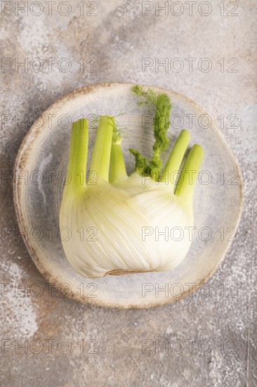 Fresh Fennel bulb on blue plate on brown concrete background, top view, flat lay, copy space,