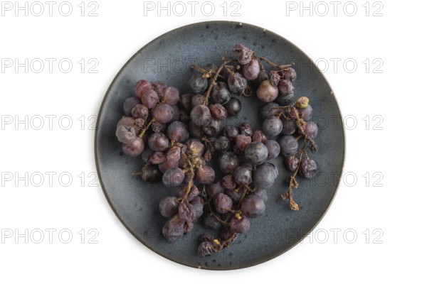Bunches of rotten and Dry Red wine grapes on blue plate isolated on white background, harvest,