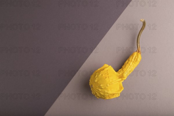 Decorative orange Pumpkin on beige and gray pastel paper background, top view, flat lay, copy