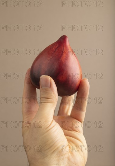 Red Heart shape tomatoes with hand on beige pastel paper background. Side view, copy space. healthy