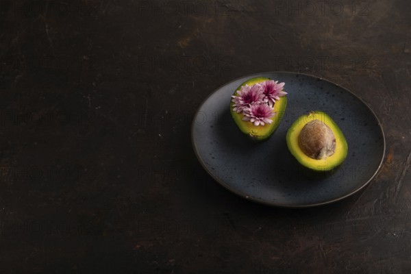 Two Avocado halves with pit and Chrysanthemums on blue plate on black concrete background, side