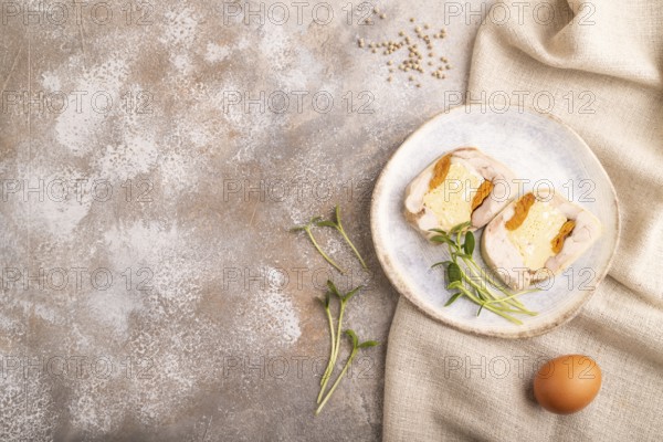 Chicken, egg and dried apricot meatloaf, microgreen on brown concrete background and linen textile.