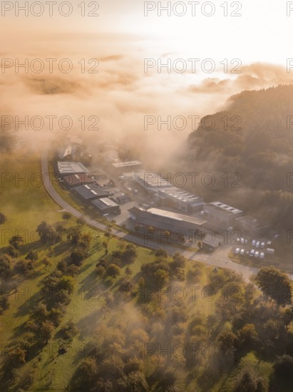 Nebel umhüllt Industriegebäude und Bäume in einer weichen Morgenlichtstimmung, Gechingen,