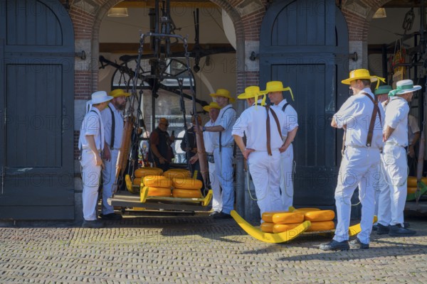 Männer mit gelben Hüten tragen Käse auf einem historischen Markt zur ehemaligen Stadtwaage, Käse