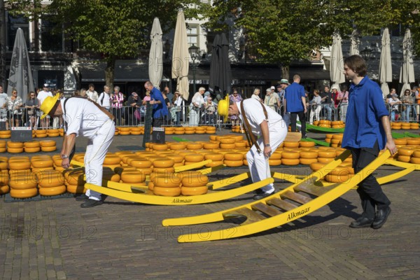 Männer mit Käse stehen auf einem sonnigen Platz umringt von Käse, Käseträger, Käse, Käsemarkt,