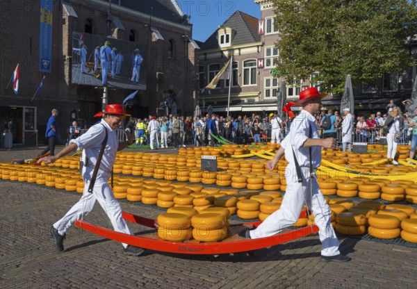 Männer mit roten Hüten tragen Käse durch einen belebten, sonnigen Stadtmarkt, Käseträger, Käse,