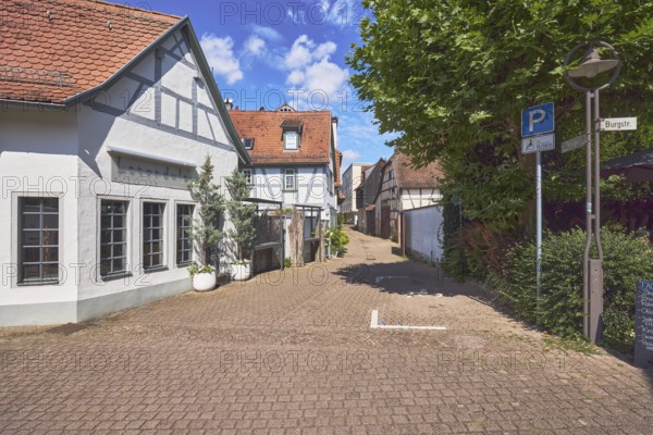 Blumengeschäft lavendula, Fachwerkhäuser, historische Gebäude, Altstadt, allgemeine Architektur,