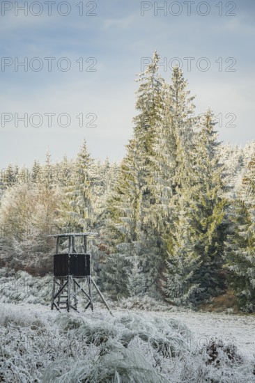 Hunting pulpit on a meadow in a valley surrounded by a mixed forest with norway spruce (Picea