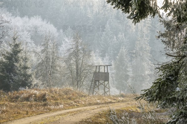 Hunting pulpit on a meadow beside a little forest road in a valley surrounded by a mixed forest