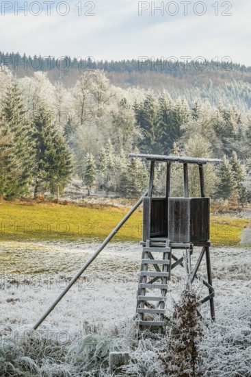 Hunting pulpit on a meadow in a valley surrounded by a mixed forest with norway spruce (Picea