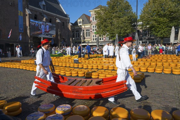 Public market where people carry cheese wheels around, cheese carrier, cheese, cheese market,