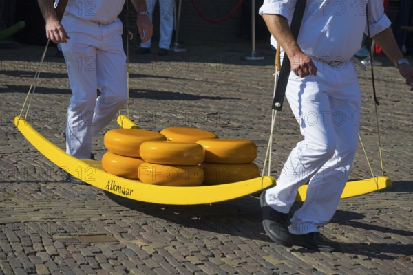 Men in traditional dress carrying yellow cheese wheels at a market, cheese carrier, cheese, cheese