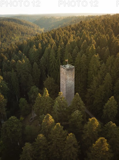 A tall tower stands between dense trees coloured by the light of dusk, Mandelberg castle ruins,