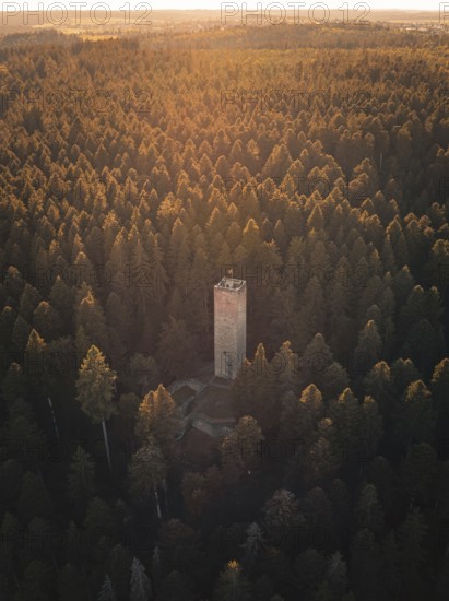 An observation tower rises in the middle of a wooded hill, illuminated by warm evening light,