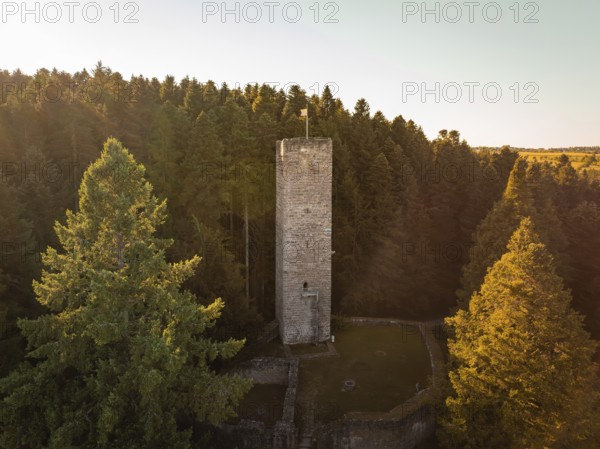 An old tower rises out of the dense forest, illuminated by the warm rays of the evening sun,
