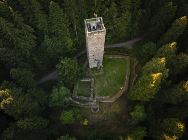 A fortified tower lies hidden in green light and dense forests, surrounded by nature, Mandelberg