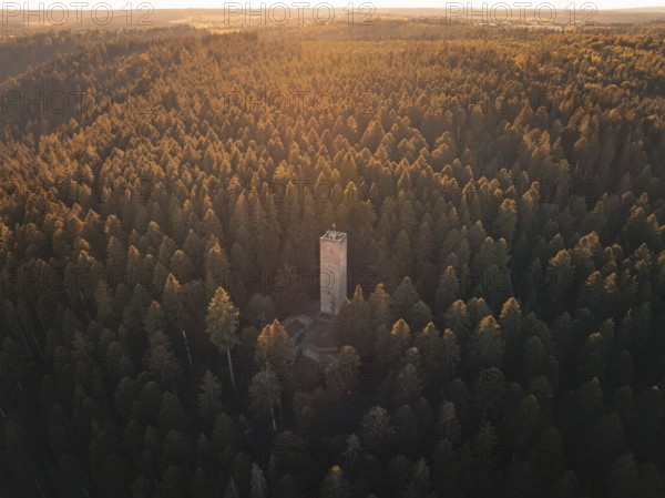 A slender observation tower is surrounded by an expansive forest landscape in the golden light,