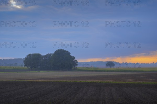 View over a field and meadow landscape in the rain and evening light, Husum, Nienburg, Lower