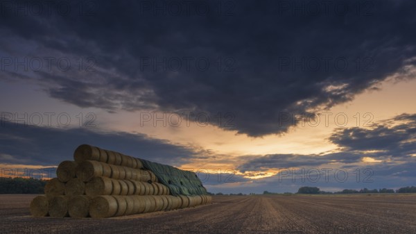 Photograph of a large stack of round bales on a harvested field in the evening light, Husum,