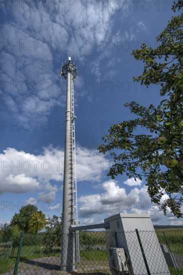 Transmission mast, on the right an apple tree (Malus) with fruits, Eckental, Middle Franconia,