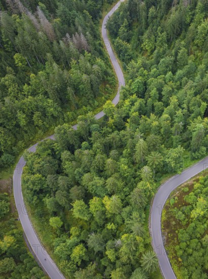 Winding road through dense green forests seen from above, Black Forest, Seebach, Germany