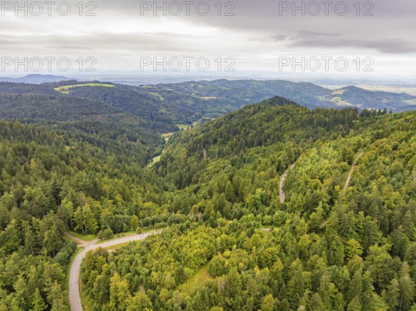 Extensive forest landscape with a winding road through the hills, Black Forest, Seebach, Germany