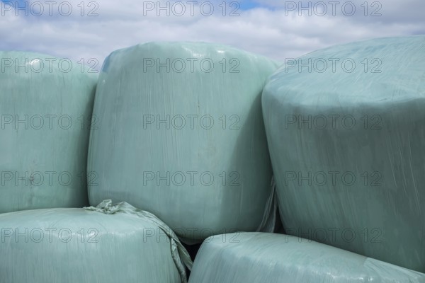 Silage, silage bales, silage bales in green plastic film, Münsterland, North Rhine-Westphalia,