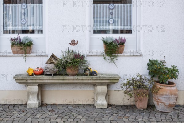 Stone bench with autumn decoration, Burgsteinfurt, Steinfurt, Münsterland, North Rhine-Westphalia,