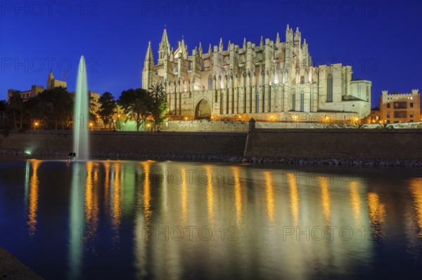 Night shot atmospheric photo in blue hour of Cathedral of Saint Mary of the Holy Mary Episcopal See