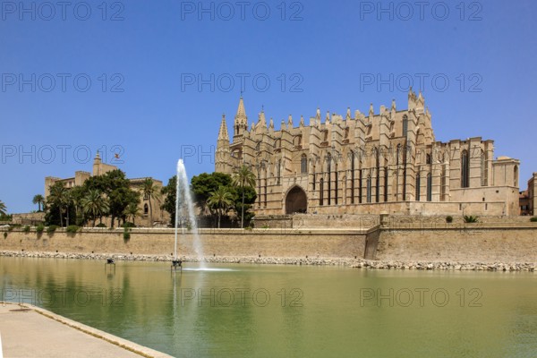 Cathedral of St Mary of La Seu, in front of it artificial lake water basin in Parc de la Mar with