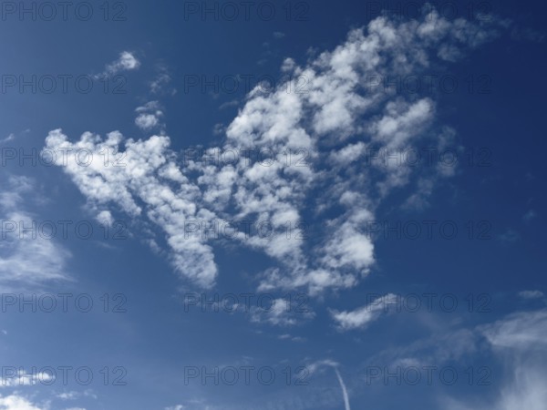 Many white cirrocumulus clouds small cluster clouds form cloud image like flying bird, natural