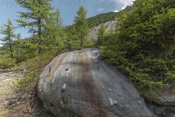 A massive boulder stands prominently amongst the vibrant green trees in a tranquil mountainous