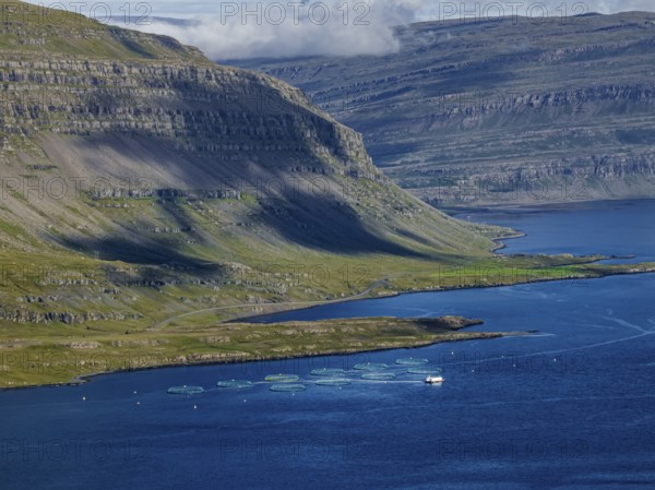 Mountains, fjord, coast, summer, aerial view, fish farm, salmon farm, farmed salmon, fishing,